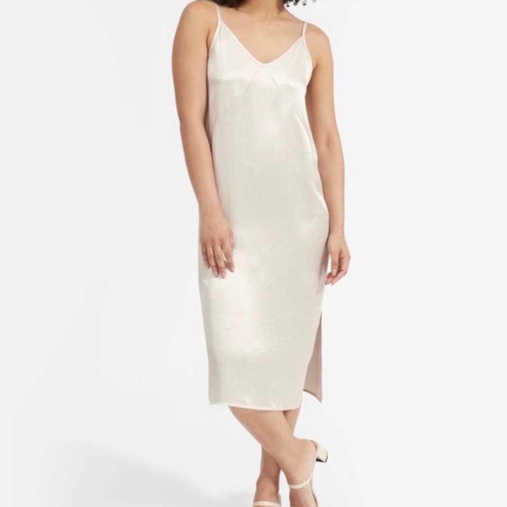 Everlane the party slip dress in silver